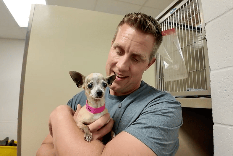 sitting-with-dogs-99-Penelope